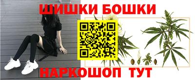 spice Пенза