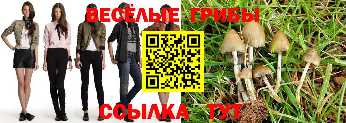 Псилоцибиновые грибы GOLDEN TEACHER Троицк